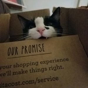 Meet your Posher, Tracy